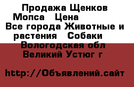 Продажа Щенков Мопса › Цена ­ 18 000 - Все города Животные и растения » Собаки   . Вологодская обл.,Великий Устюг г.